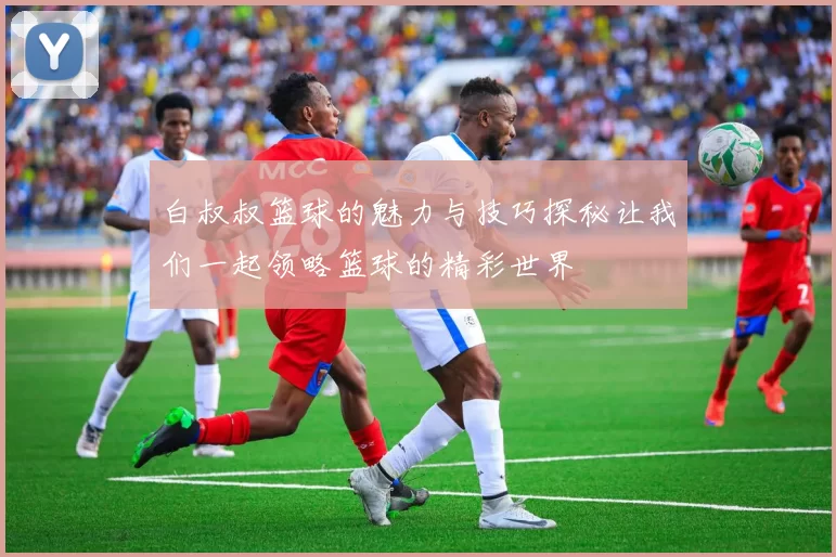 白叔叔篮球的魅力与技巧探秘让我们一起领略篮球的精彩世界
