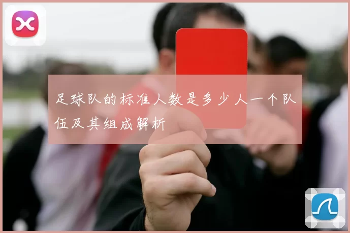 足球队的标准人数是多少人一个队伍及其组成解析